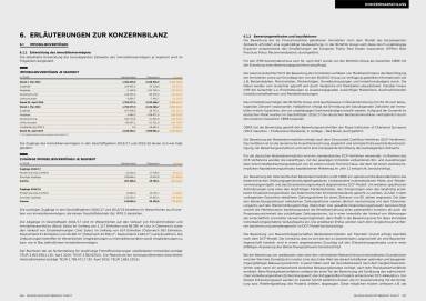 Buwog Geschäftsbericht 2016/17