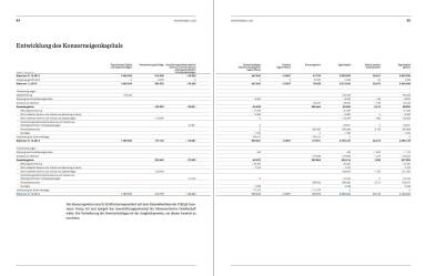 Entwicklung des Konzerneigenkapitals