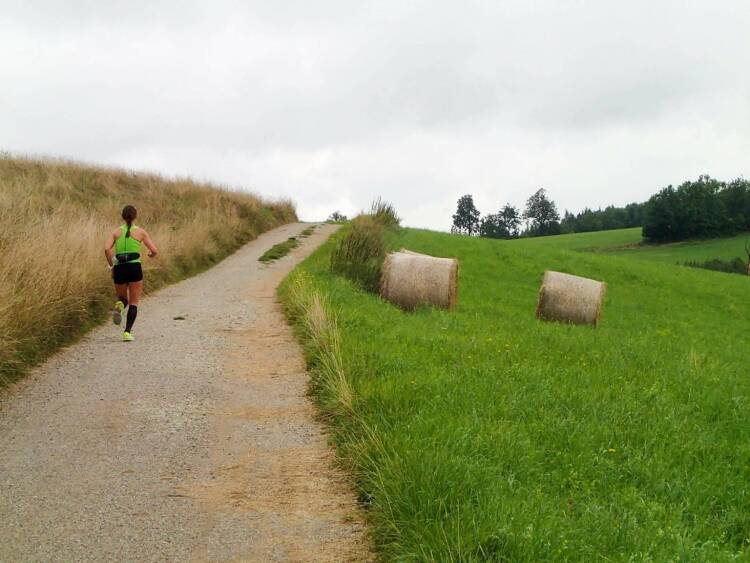 Carola Bendl-Tschiedel Nominierung - mein Sportschnappschuss des Jahres 2016: Unterwegs bei meinem Geburtstagslauf.
53 km mit Freunden rund um den Lainzer Tiergarten und anschließend "U4U4" von Hütteldorf nach Heiligenstadt.
Das Bild zeigt den Anstieg auf die Sofienalpe, nach ca. 36 Kilometern. In der Laufeuphorie und im Plaudern mit Jean-Marie Welbes, von dem auch dieses Foto stammt, bin ich kurz mal ein bisschen schneller geworden. Ein perfekter Geburtstag - - Voten und/oder auch sich selbst nominieren unter http://www.facebook.com/groups/Sportsblogged